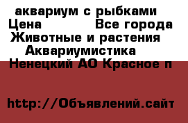 аквариум с рыбками › Цена ­ 1 000 - Все города Животные и растения » Аквариумистика   . Ненецкий АО,Красное п.